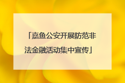 嘉鱼公安开展防范非法金融活动集中宣传