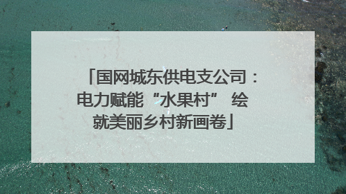国网城东供电支公司：电力赋能“水果村” 绘就美丽乡村新画卷