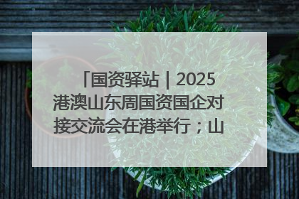 国资驿站｜2025港澳山东周国资国企对接交流会在港举行；山东黄金成功在境外发行3亿美元绿色债券