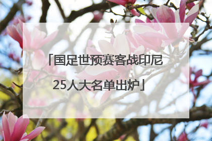 国足世预赛客战印尼25人大名单出炉