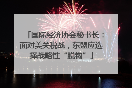 国际经济协会秘书长：面对美关税战，东盟应选择战略性“脱钩”
