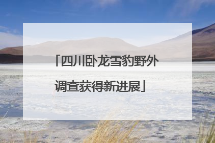 四川卧龙雪豹野外调查获得新进展