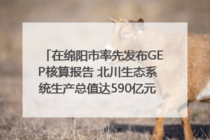 在绵阳市率先发布GEP核算报告 北川生态系统生产总值达590亿元｜新闻发布最前线