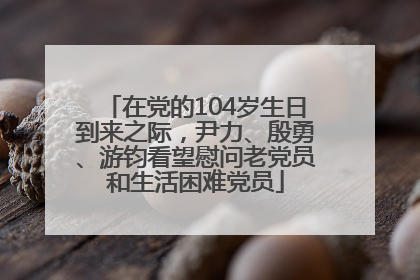 在党的104岁生日到来之际，尹力、殷勇、游钧看望慰问老党员和生活困难党员
