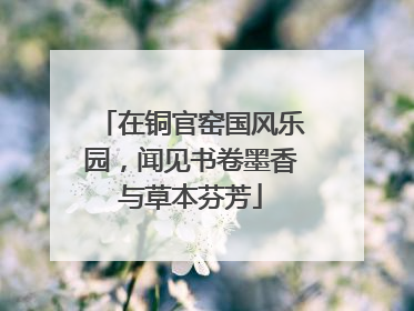在铜官窑国风乐园，闻见书卷墨香与草本芬芳