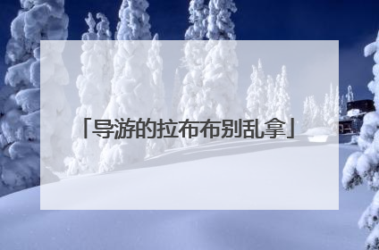 导游的拉布布别乱拿