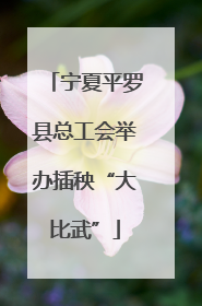 宁夏平罗县总工会举办插秧“大比武”