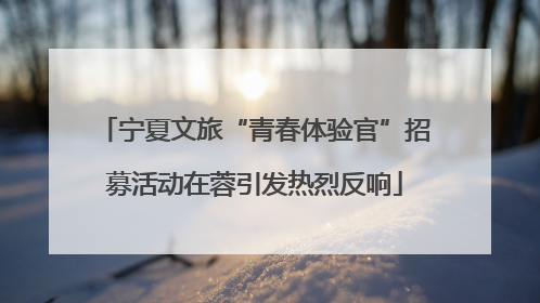 宁夏文旅“青春体验官”招募活动在蓉引发热烈反响