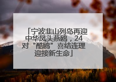 宁波韭山列岛再迎中华凤头燕鸥，24对“酷鸥”喜结连理迎接新生命