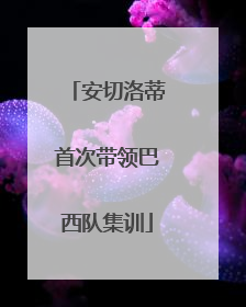 安切洛蒂首次带领巴西队集训