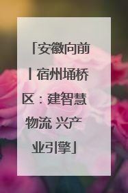 安徽向前丨宿州埇桥区：建智慧物流 兴产业引擎