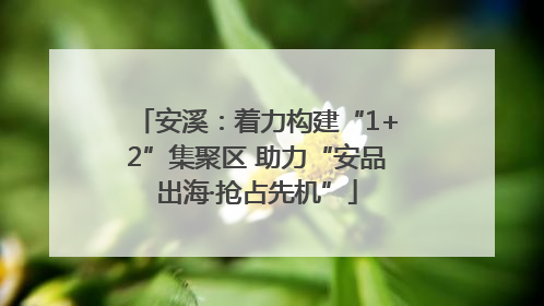 安溪：着力构建“1+2”集聚区 助力“安品出海·抢占先机”
