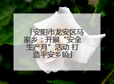 安阳市龙安区马家乡：开展“安全生产月”活动 打造平安乡镇
