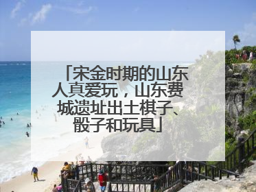 宋金时期的山东人真爱玩，山东费城遗址出土棋子、骰子和玩具