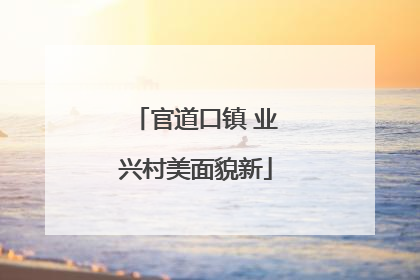 官道口镇 业兴村美面貌新