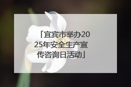 宜宾市举办2025年安全生产宣传咨询日活动
