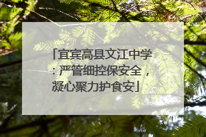宜宾高县文江中学：严管细控保安全，凝心聚力护食安