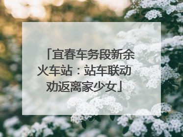 宜春车务段新余火车站：站车联动劝返离家少女