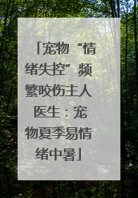 宠物“情绪失控”频繁咬伤主人 医生：宠物夏季易情绪中暑