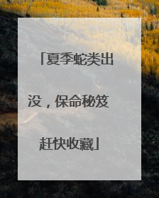 夏季蛇类出没，保命秘笈赶快收藏