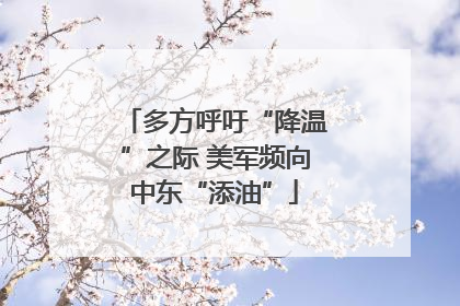 多方呼吁“降温”之际 美军频向中东“添油”