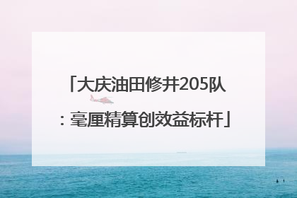 大庆油田修井205队：毫厘精算创效益标杆