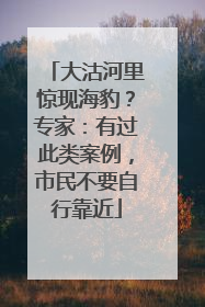 大沽河里惊现海豹？专家：有过此类案例，市民不要自行靠近