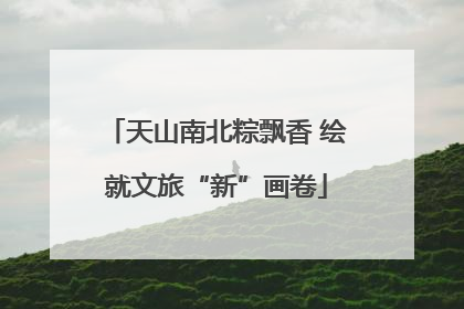 天山南北粽飘香 绘就文旅“新”画卷