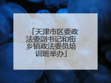 天津市区委政法委副书记和街乡镇政法委员培训班举办