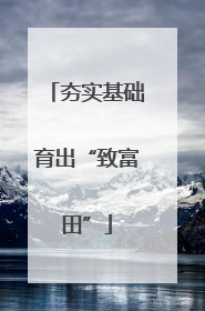 夯实基础育出“致富田”