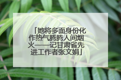 她将多面身份化作热气腾腾人间烟火——记甘肃省先进工作者张文娟