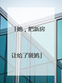 她，把新房让给了斑鸠