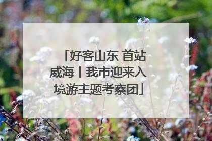 好客山东 首站威海丨我市迎来入境游主题考察团