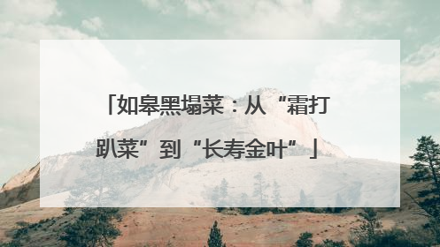 如皋黑塌菜：从“霜打趴菜”到“长寿金叶”