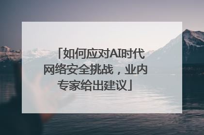 如何应对AI时代网络安全挑战，业内专家给出建议