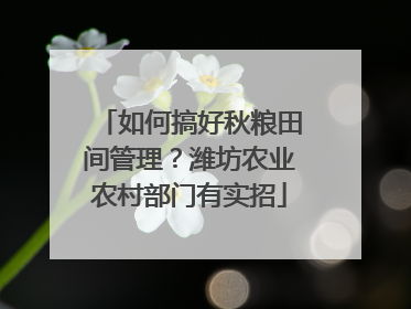 如何搞好秋粮田间管理？潍坊农业农村部门有实招