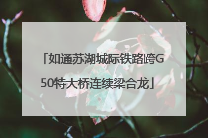 如通苏湖城际铁路跨G50特大桥连续梁合龙
