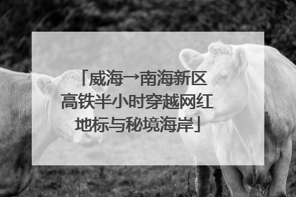 威海→南海新区 高铁半小时穿越网红地标与秘境海岸