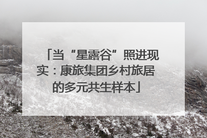 当“星露谷”照进现实：康旅集团乡村旅居的多元共生样本