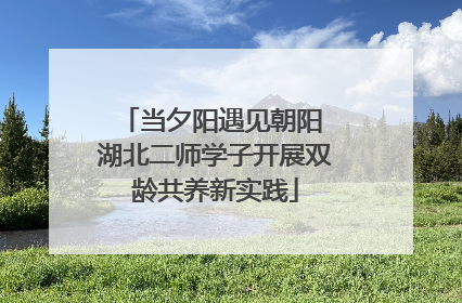 当夕阳遇见朝阳 湖北二师学子开展双龄共养新实践