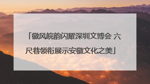 徽风皖韵闪耀深圳文博会 六尺巷领衔展示安徽文化之美