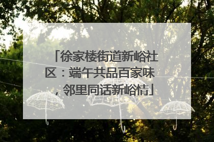 徐家楼街道新峪社区：端午共品百家味，邻里同话新峪情