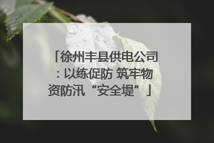 徐州丰县供电公司：以练促防 筑牢物资防汛“安全堤”