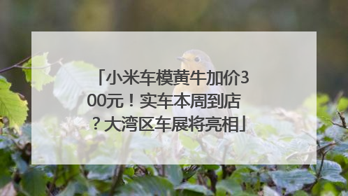 小米车模黄牛加价300元！实车本周到店？大湾区车展将亮相