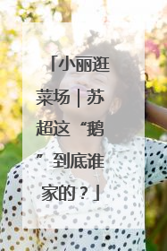 小丽逛菜场｜苏超这“鹅”到底谁家的？