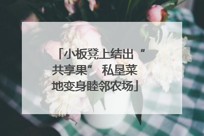 小板凳上结出“共享果” 私垦菜地变身睦邻农场