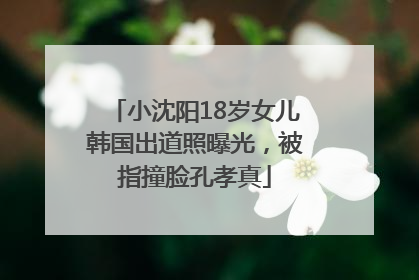 小沈阳18岁女儿韩国出道照曝光，被指撞脸孔孝真