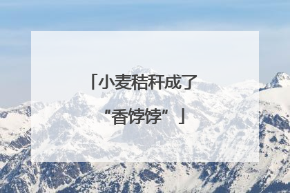小麦秸秆成了“香饽饽”