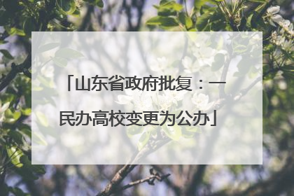 山东省政府批复：一民办高校变更为公办