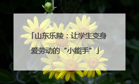 山东乐陵：让学生变身爱劳动的“小能手”